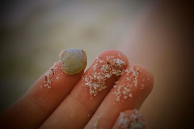 Close-up of human hand