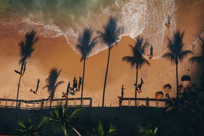 Shadow of people and palm trees at beach on sunny day