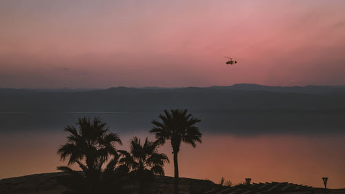 Silhouette bird flying over sea against orange sky