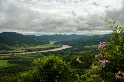 Scenic view of agricultural field against sky