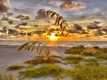 Scenic view of beach against sky during sunset