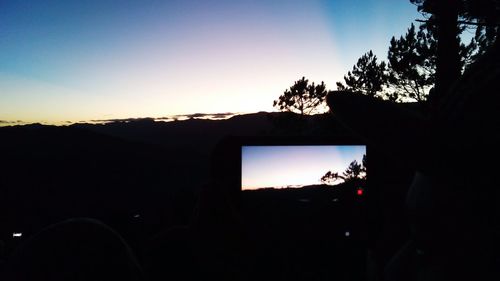 Silhouette of trees at sunset