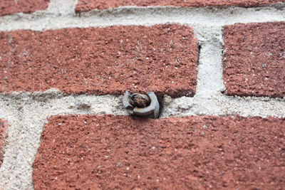 High angle view of brick wall