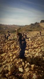 Scenic view of landscape against sky