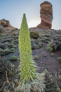 Scenic view of rock formation in desert against sky