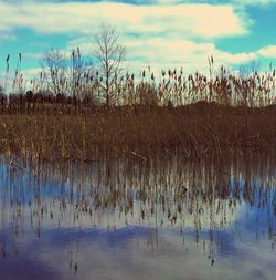 Scenic view of lake against sky