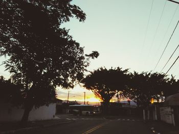 Silhouette of trees at sunset