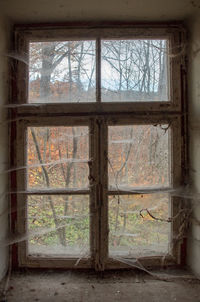 Damaged window in abandoned building