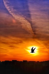 Silhouette bird flying against sky during sunset