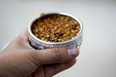 Midsection of person holding bowl against white background