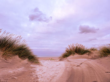 Scenic view of beach against sky