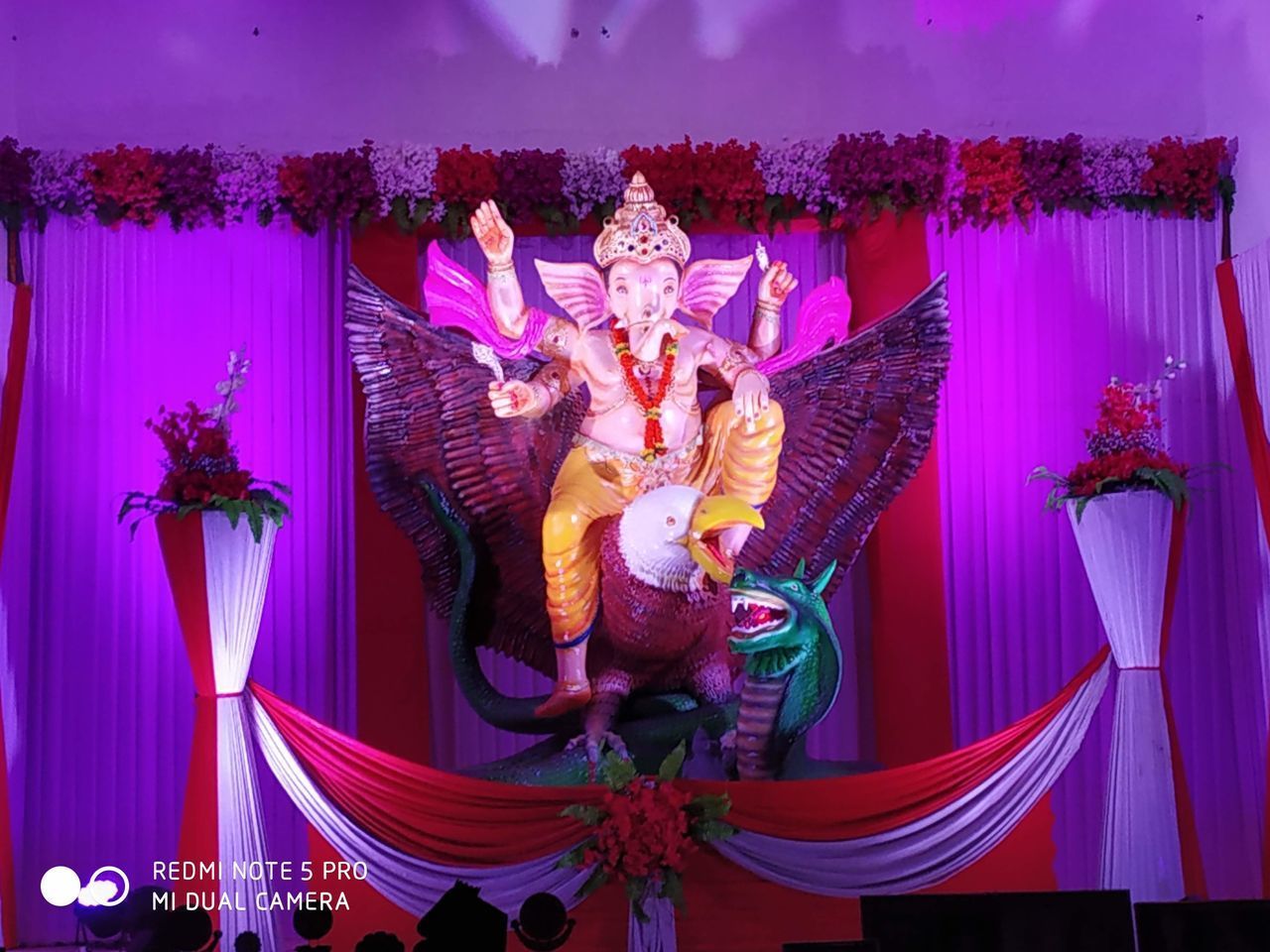 HIGH ANGLE VIEW OF VARIOUS FLOWERS AT ILLUMINATED ROOM