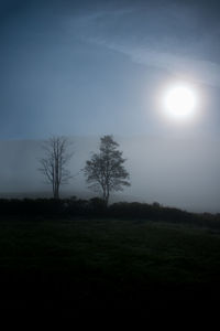 Scenic view of grassy field against sky