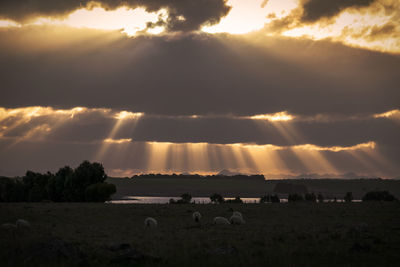 Scenic view of field against sky during sunset