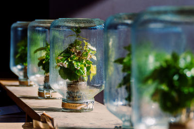 Close-up of drink on table