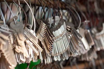 Close-up of clothes hanging on wood