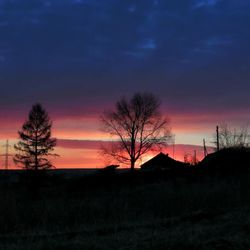 Silhouette bare trees on field against sky at sunset