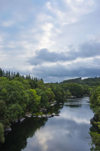Reflection of trees in calm river