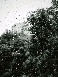 Close-up of water drops on glass