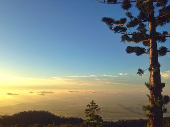 Scenic view of landscape against sky at sunset