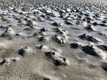 High angle view of pebbles on beach