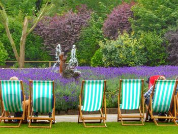 Chairs and purple flowers in yard