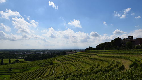 Scenic view of field against cloudy sky