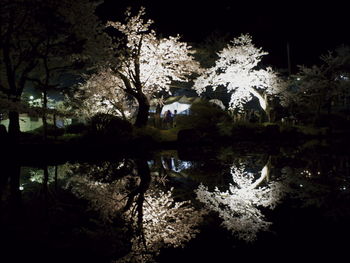 Reflection of trees in lake at night