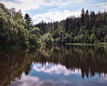 Scenic view of lake by trees against sky