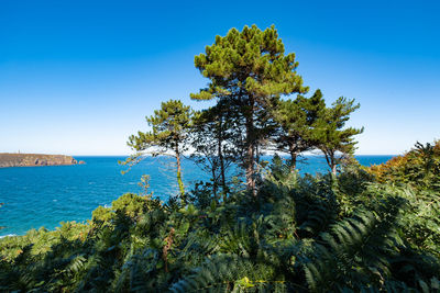 Scenic view of sea against clear blue sky