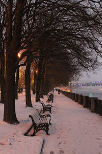 Trees in park during winter