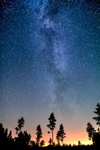 Low angle view of silhouette trees against sky at night