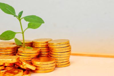finance