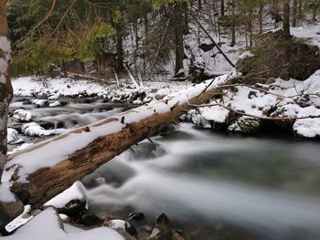 Scenic view of river amidst trees during winter