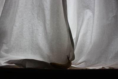 Close-up of banana on window sill