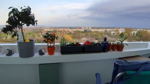 Potted plants on table by chairs against sky