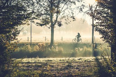 Man riding bicycle by trees on field