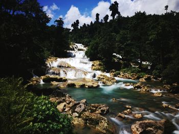 Scenic view of waterfall in forest against sky