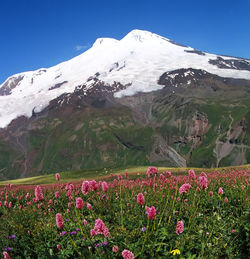 Mount elbrus - the highest peak in europe.