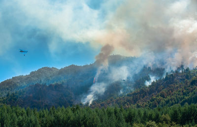 Low angle view of forest fire against blue sky