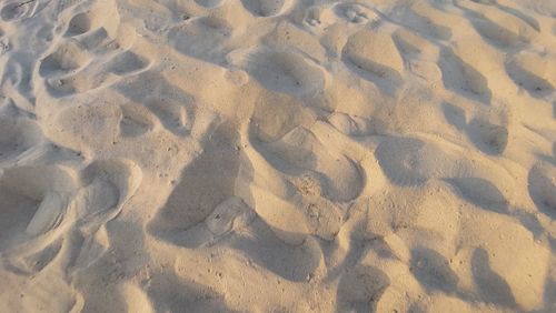 Full frame shot of sand dune
