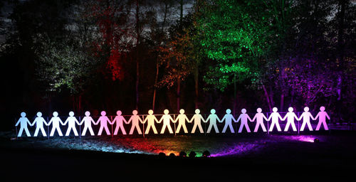 Multi colored illuminated lights in park at night