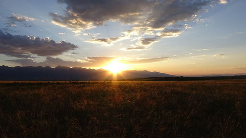 Scenic view of field against sky during sunset