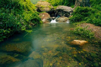 Stream flowing through rocks in forest