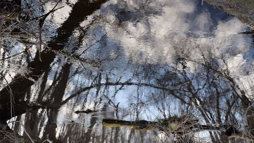 Low angle view of bare trees during winter