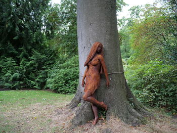 Lizard on tree trunk in forest