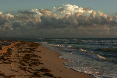 Miami sea in america 