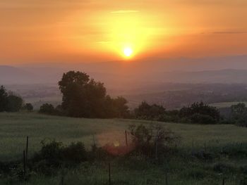 Scenic view of field against sky during sunset