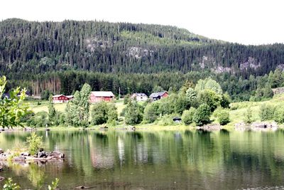 Scenic view of lake by trees in forest against sky