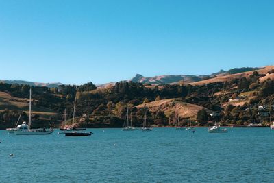 Sailboats in sea against clear blue sky